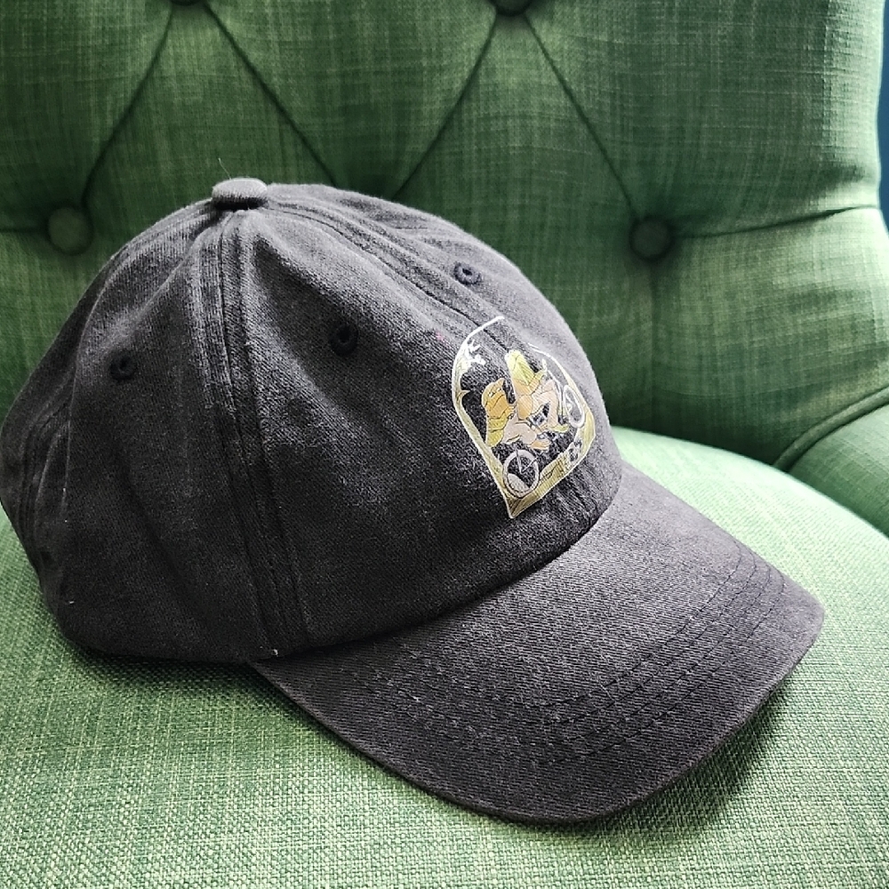 Dark Gray Frog And Toad Dad Hat